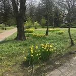Mieszkanko Lägenhet *