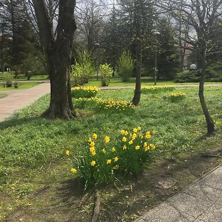 Mieszkanko Apartamento *