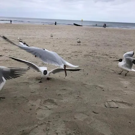 Mieszkanko * Kołobrzeg