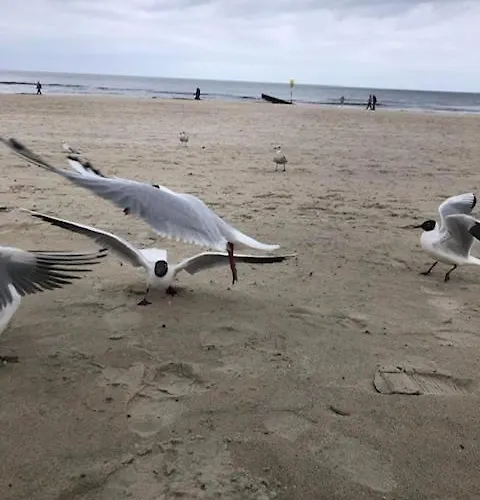 Mieszkanko * Kolberg